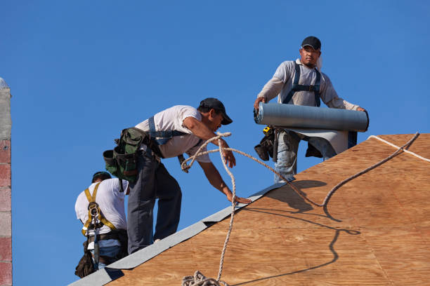Best Roof Maintenance Services  in Ridgely, TN