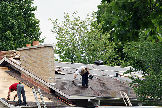 Best Best Roofing Contractors  in Ridgely, TN