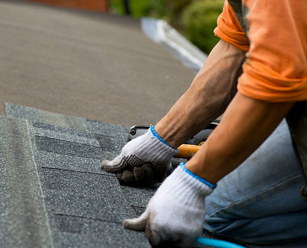 Best Roof Gutter Cleaning  in Ridgely, TN