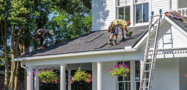 Best Gutter Installation and Roofing  in Ridgely, TN