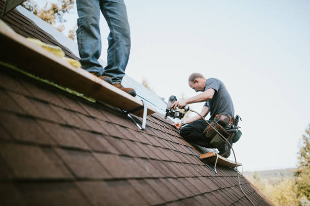 Gutter Installation and Roofing in Ridgely, TN