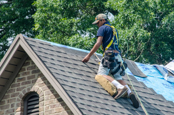 Quick and Trustworthy Emergency Roof Repair Services in Ridgely, TN